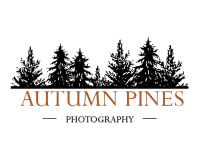 Autumn Pines Photography